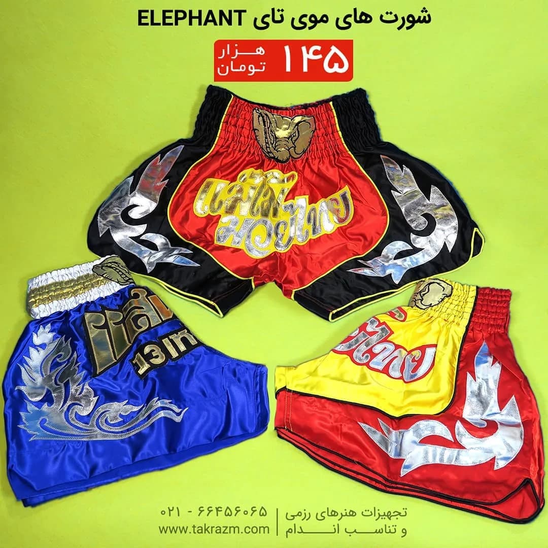 شورت موی تای Elephant