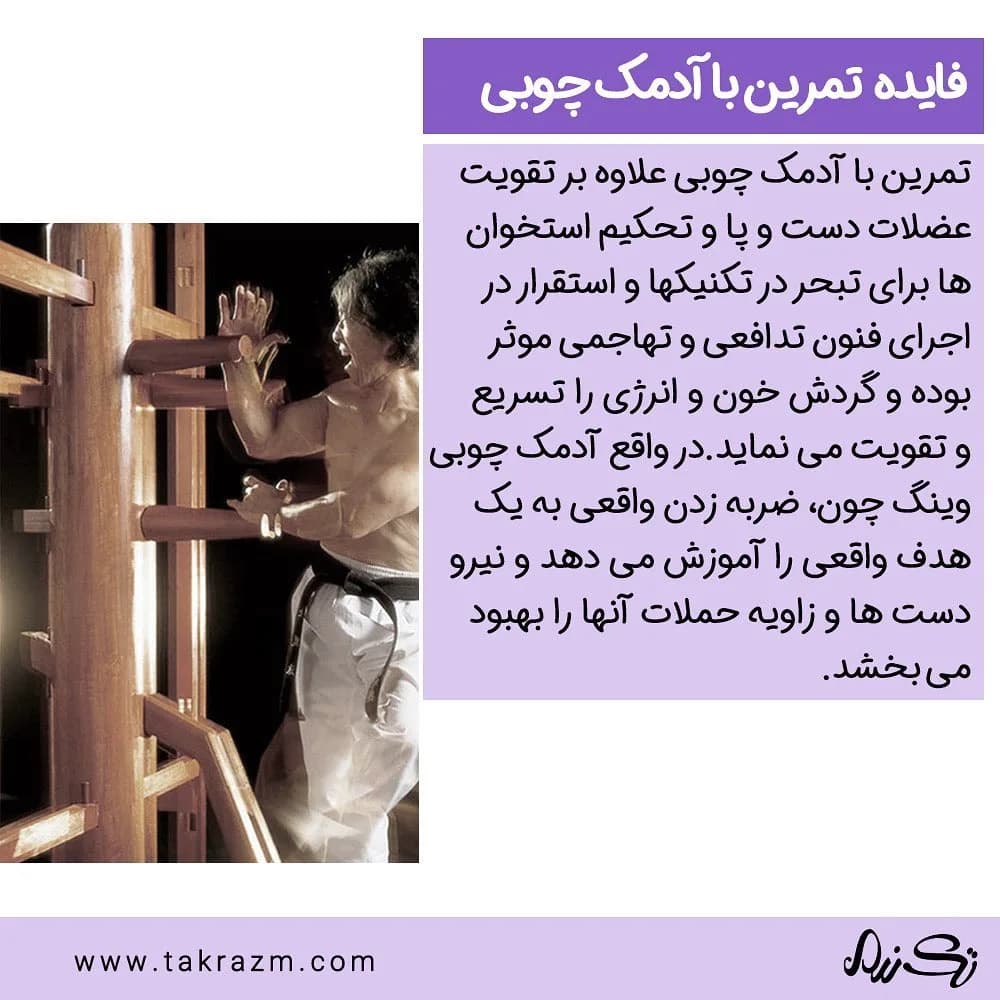 آدمک چوبی وینگ چون دیواری