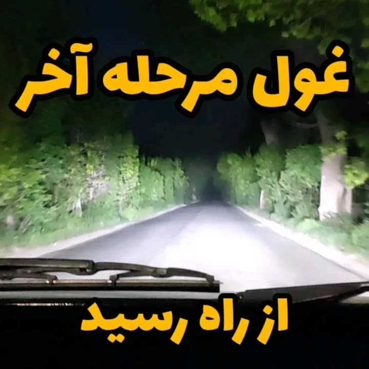 هدلایت فونیکس پایه H7 MZM