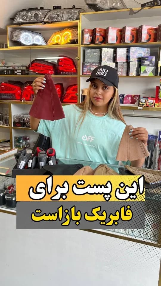 گردگیر دنده (بوت شیفتر)