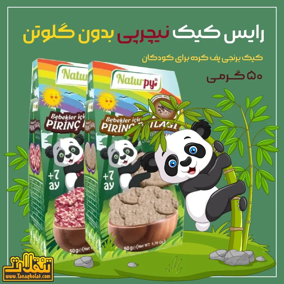 رایس کیک بدون گلوتن نیچرپی