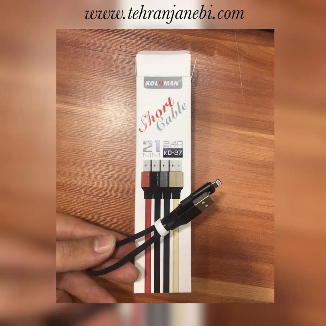 کابل پاوری آیفون و تایپ سی، رنگ مشکی، جنس پلاستیک، کوتاه