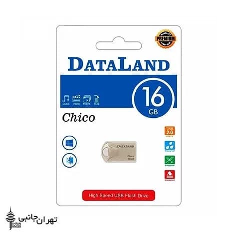 فلش مموری مدل Chico دیتالند، رنگ نقرهای، جنس فلز، مستطیلی کوچک