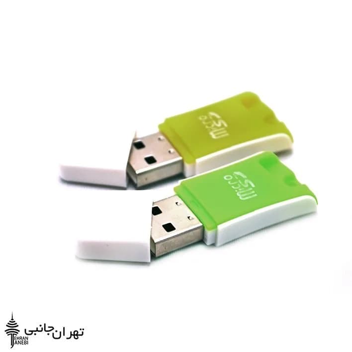 رم ریدر رنگی میکرو اس دی