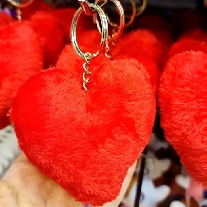 جاسوییچی قلب پولیشی