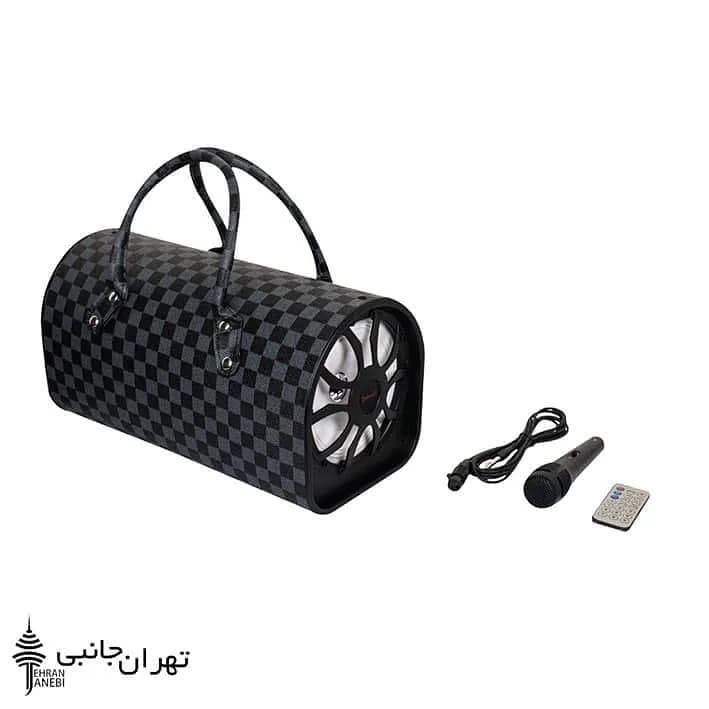 اسپیکر چمدونی میکروفندار G12