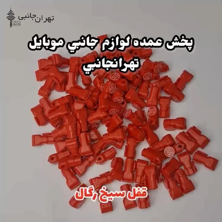 قفل سیخ و شاخک رگال