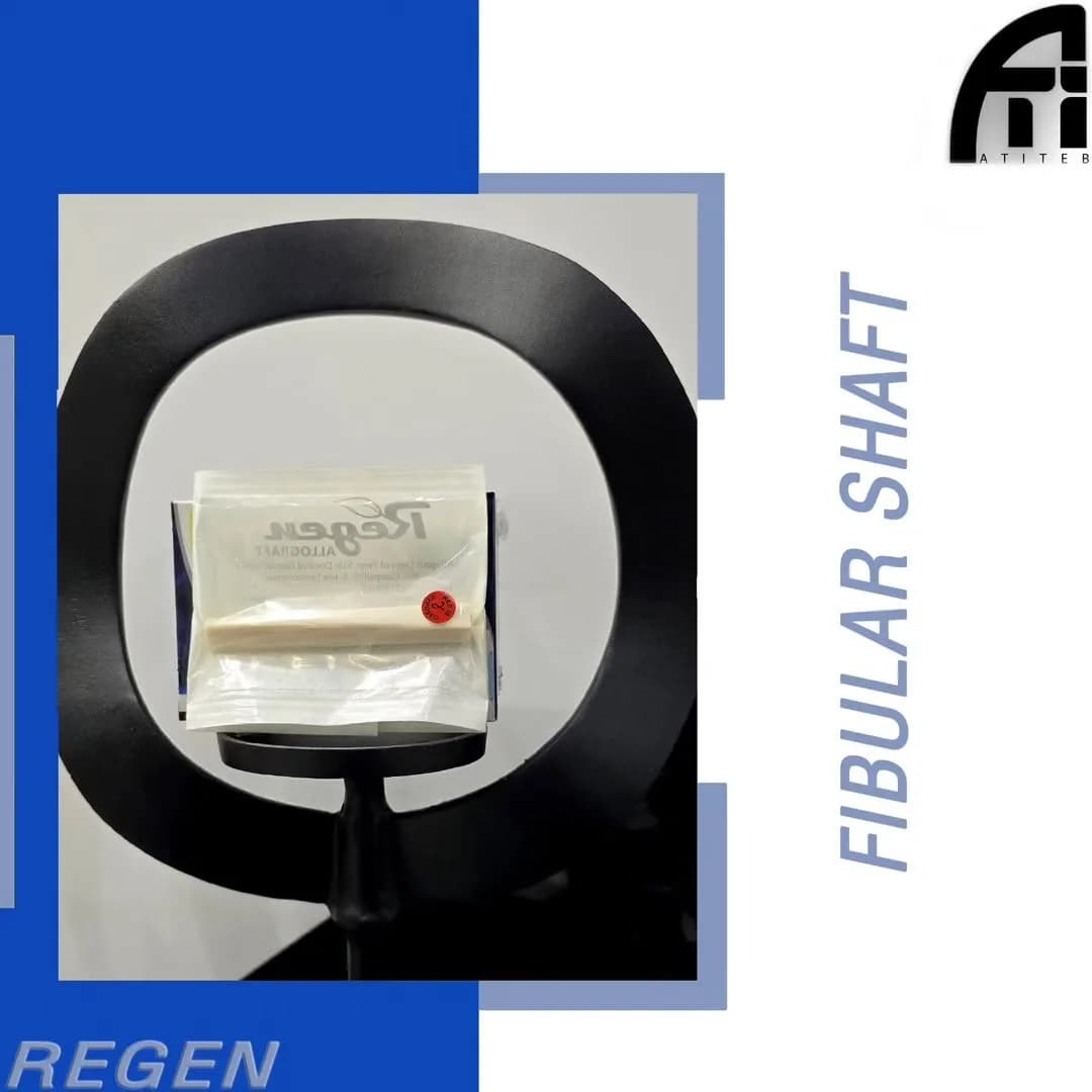 آلوگرفت استخوان فیبولار، رنگ کرم، مدل Shaft، استوانهای