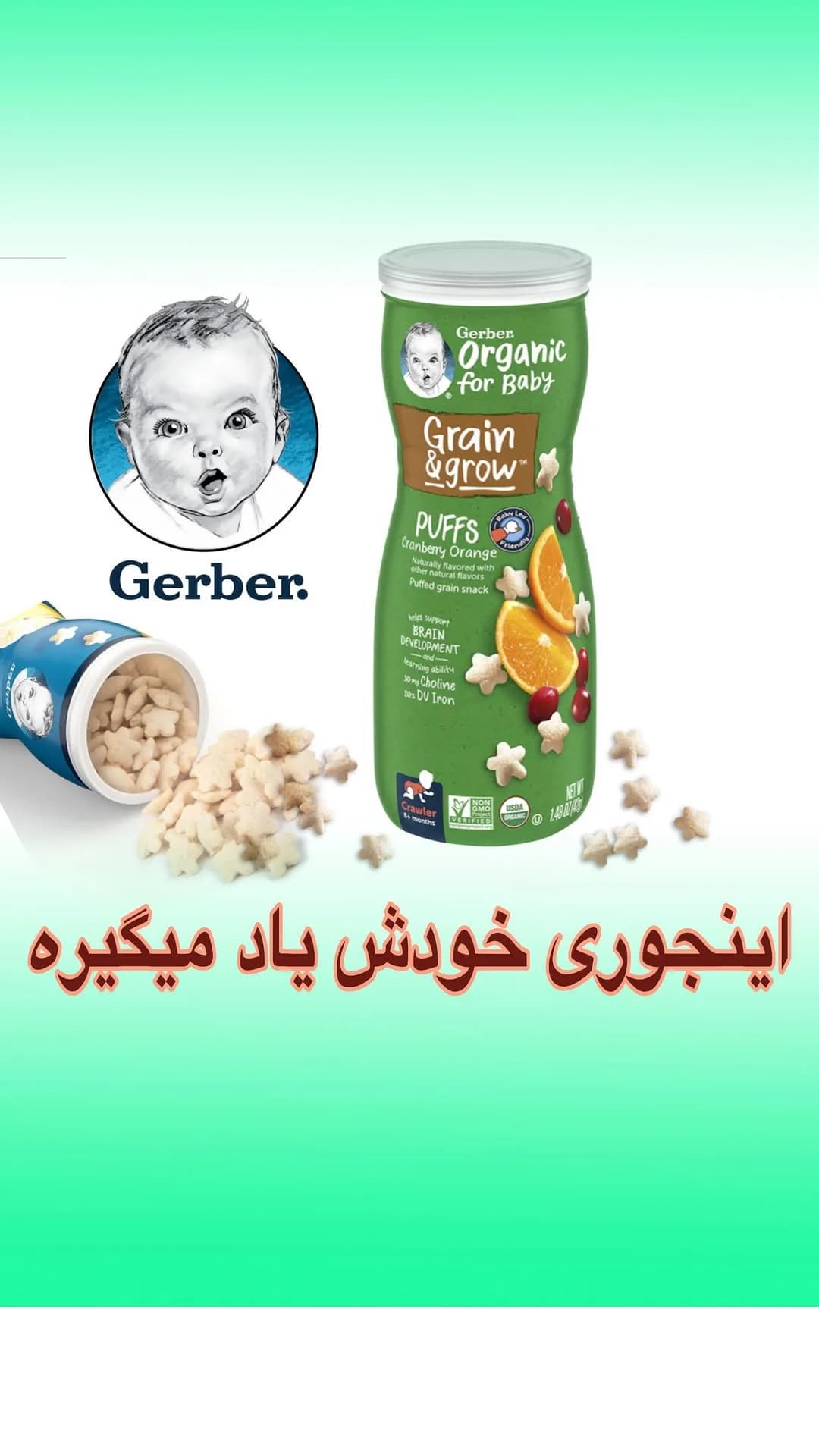 پاف غلات و میوه کودک گربر