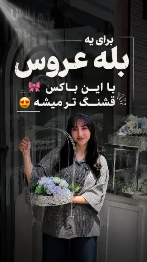 باکس بلهبرون، رنگ سفید و آبی، جنس فلز و گیاه، سبد فلزی با دسته قوسی