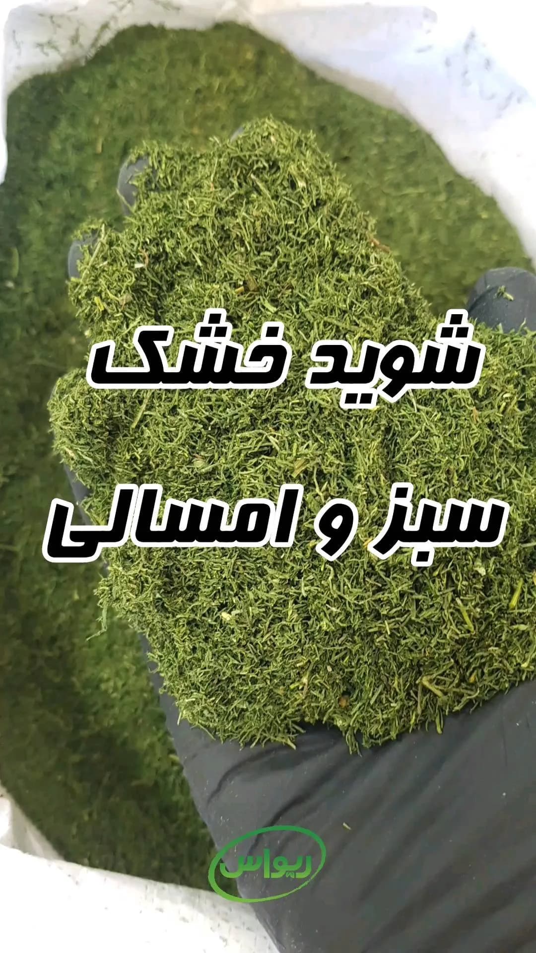شوید خشک، رنگ سبز، خرد شده