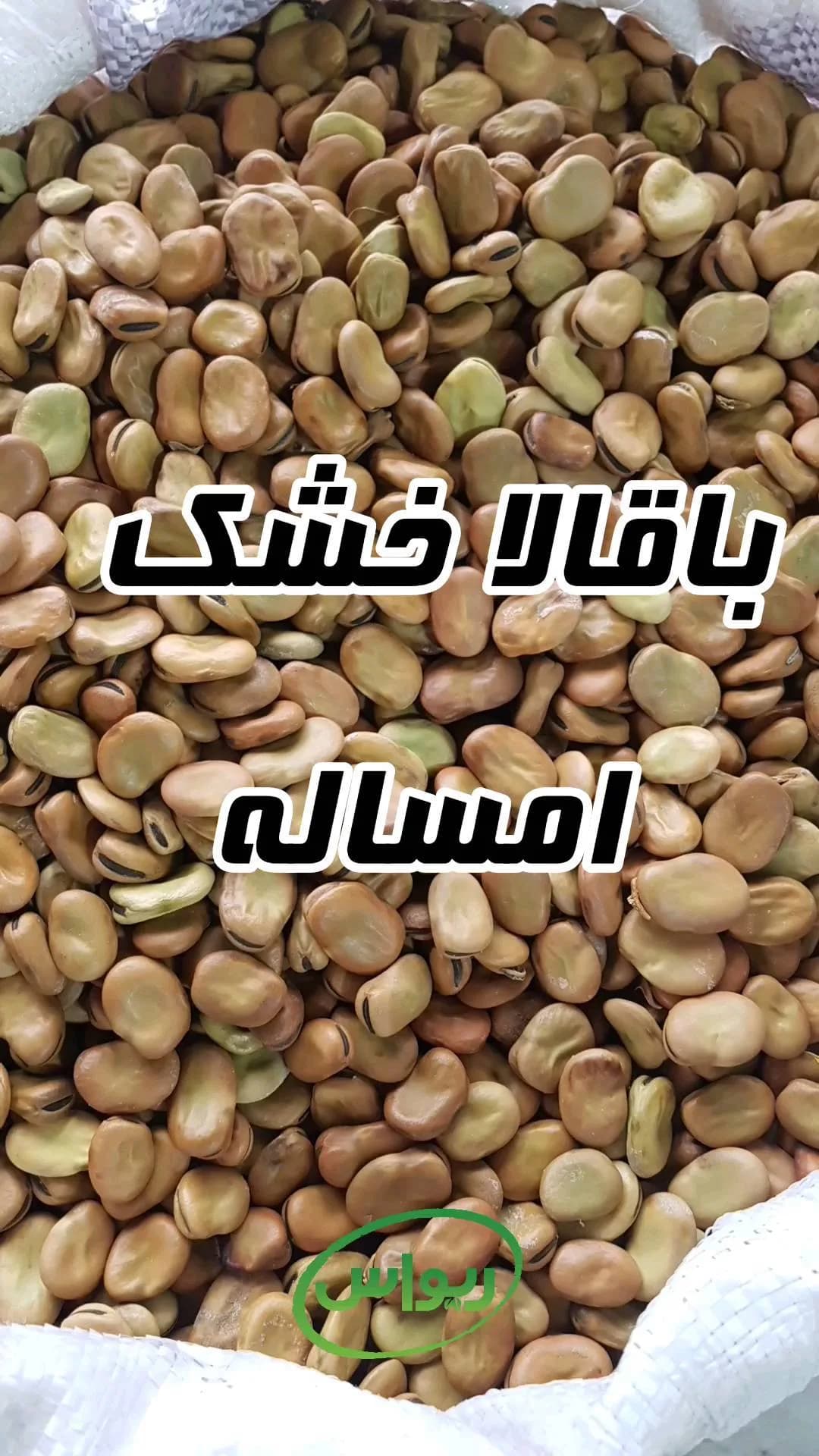 باقالا خشک درجه یک، رنگ کرم و قهوهای، دانه