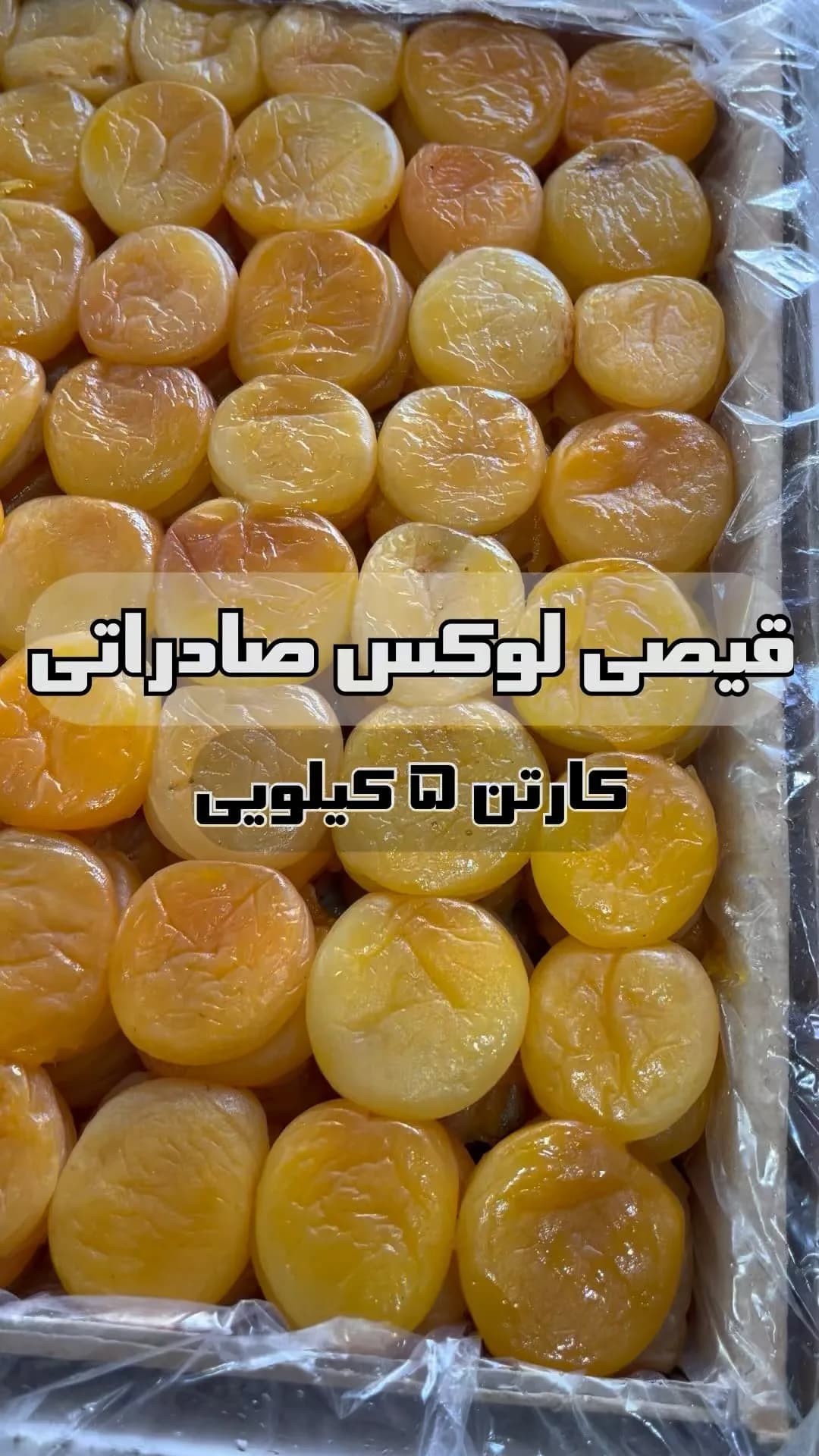 قیصی لوکس صادراتی