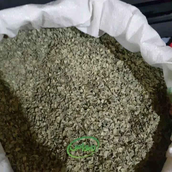 آویشن شیرازی درجه یک