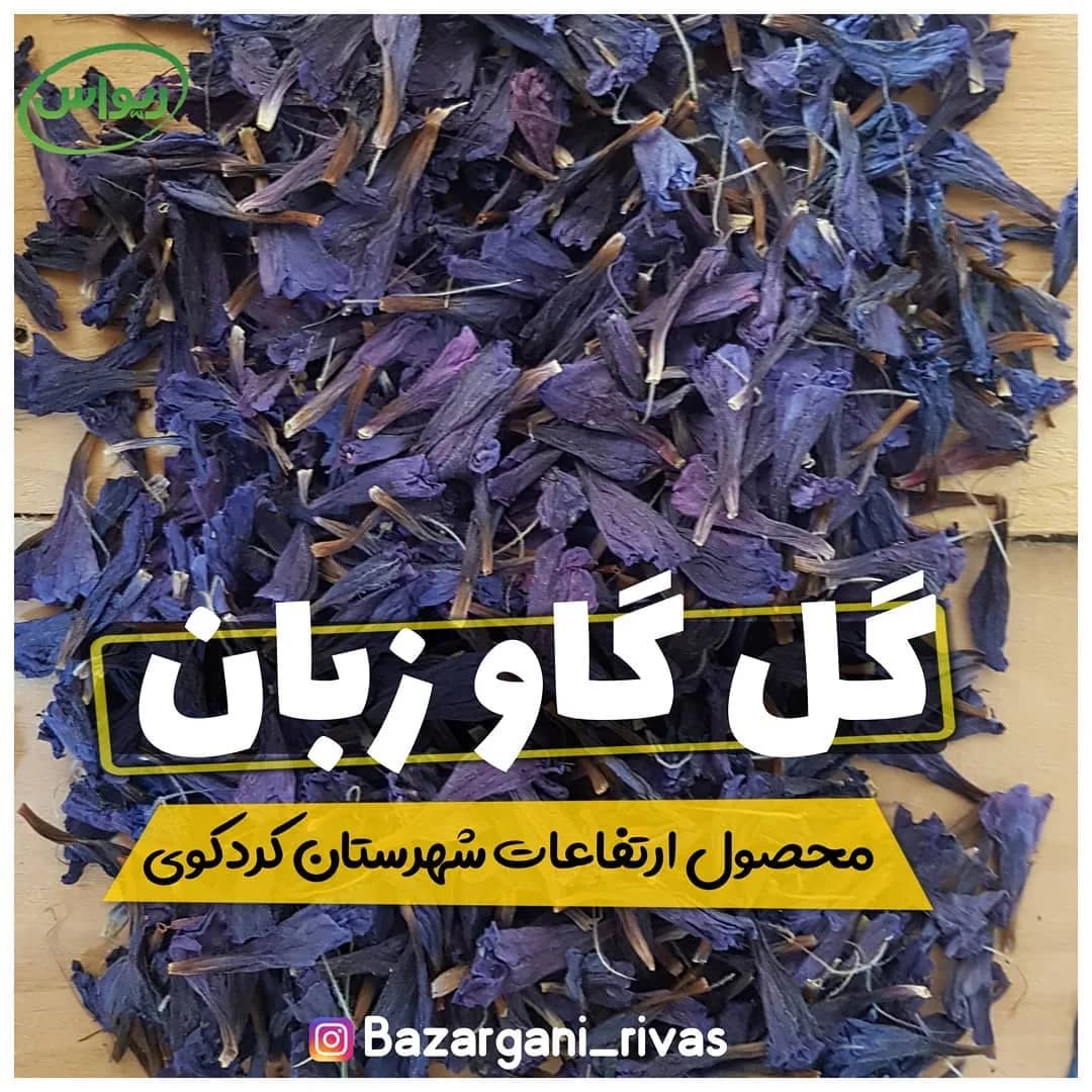 گل گاوزبان کردکوی، رنگ آبی و بنفش، گل خشک