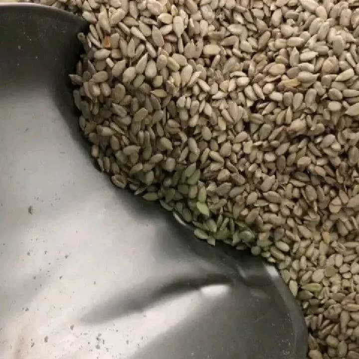 مغز تخمه آفتابگردان