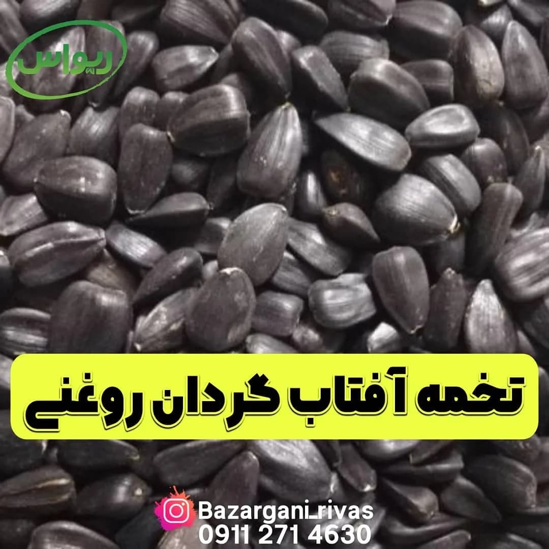 تخمه آفتابگردان روغنی، رنگ سیاه، دانه ریز