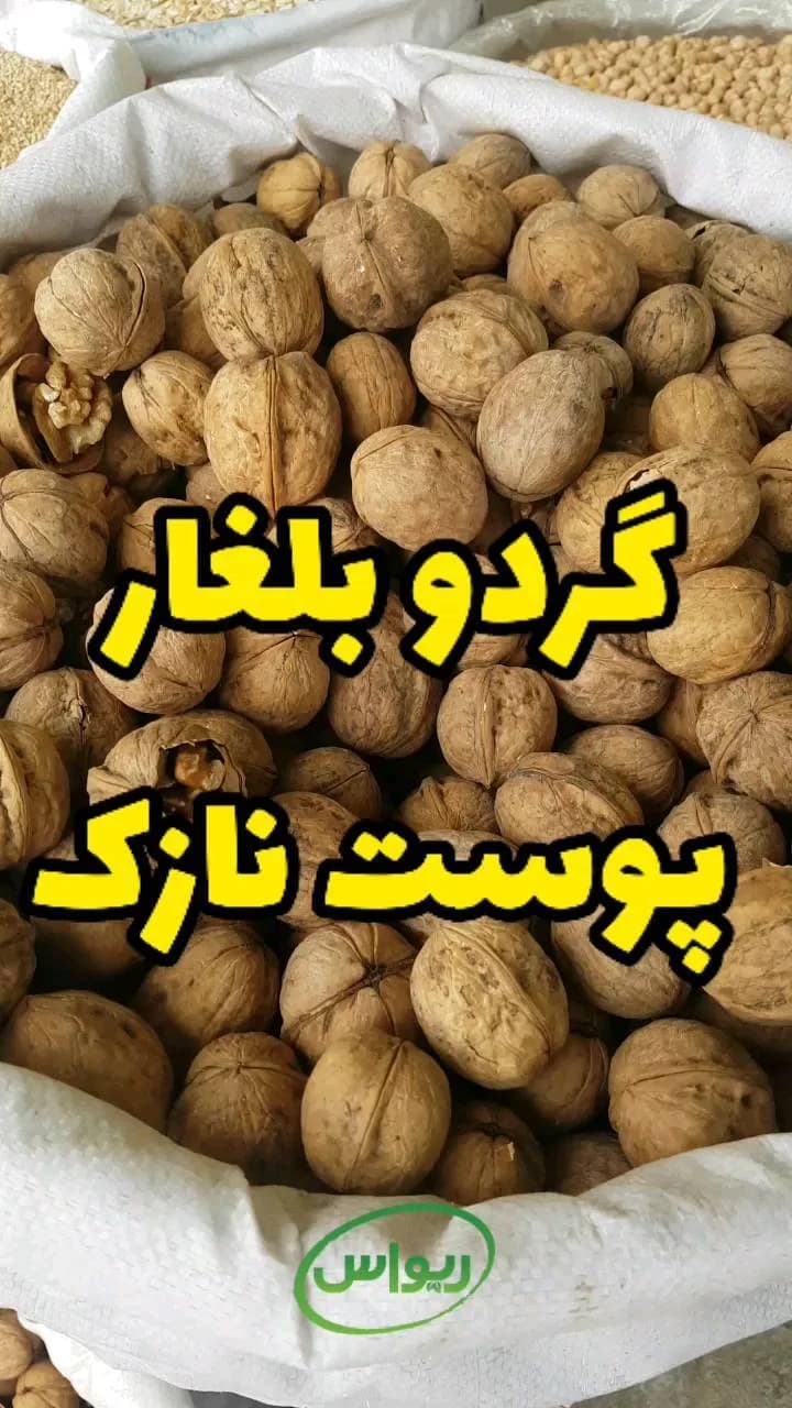 گردو بلغار پوست کاغذی