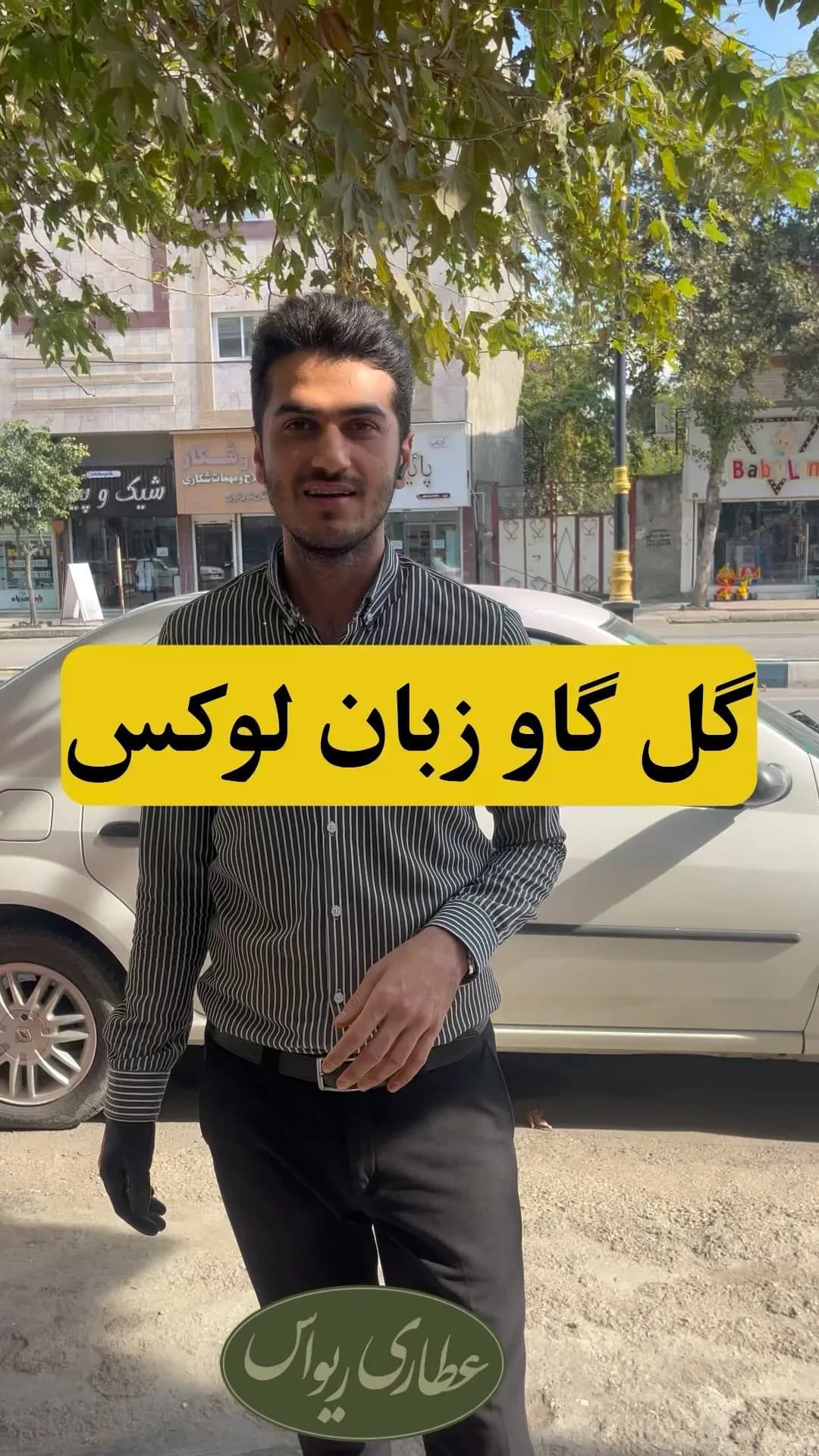 گل گاوزبان لوکس امساله