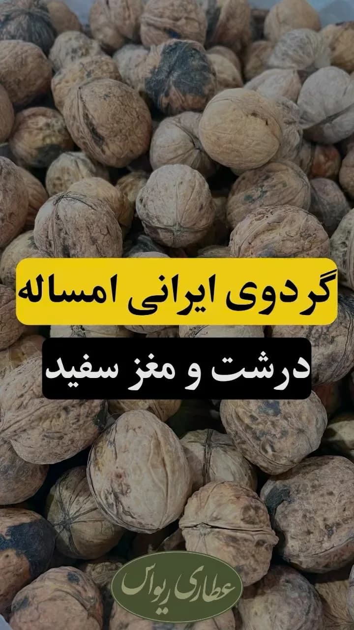 گردوی ایرانی اعلا امساله