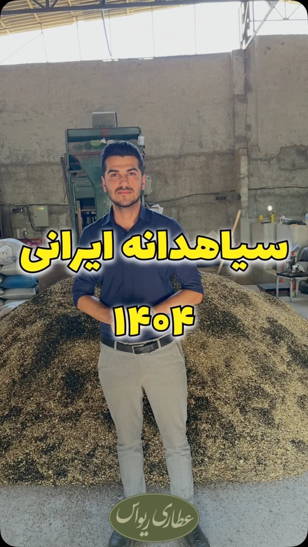 سیاهدانه ایرانی، دانه ریز