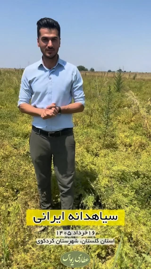 سیاهدانه ایرانی