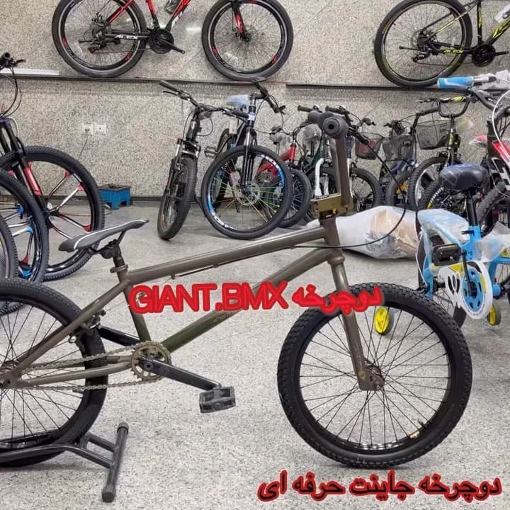 دوچرخه BMX جاینت