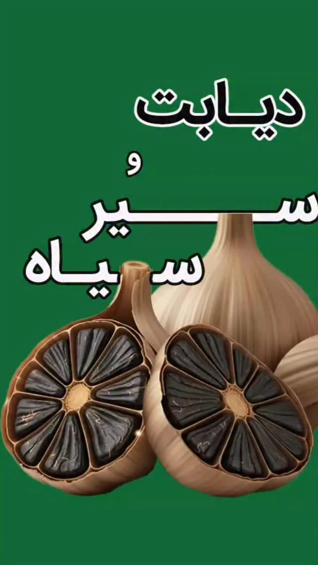 سیر سیاه زوبر