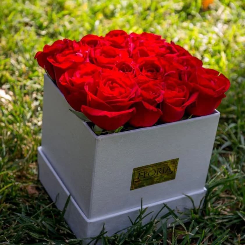 باکس گل رز هلندی، رنگ سفید و قرمز، جنس مقوا و گل طبیعی، مکعبی با گلِ رز