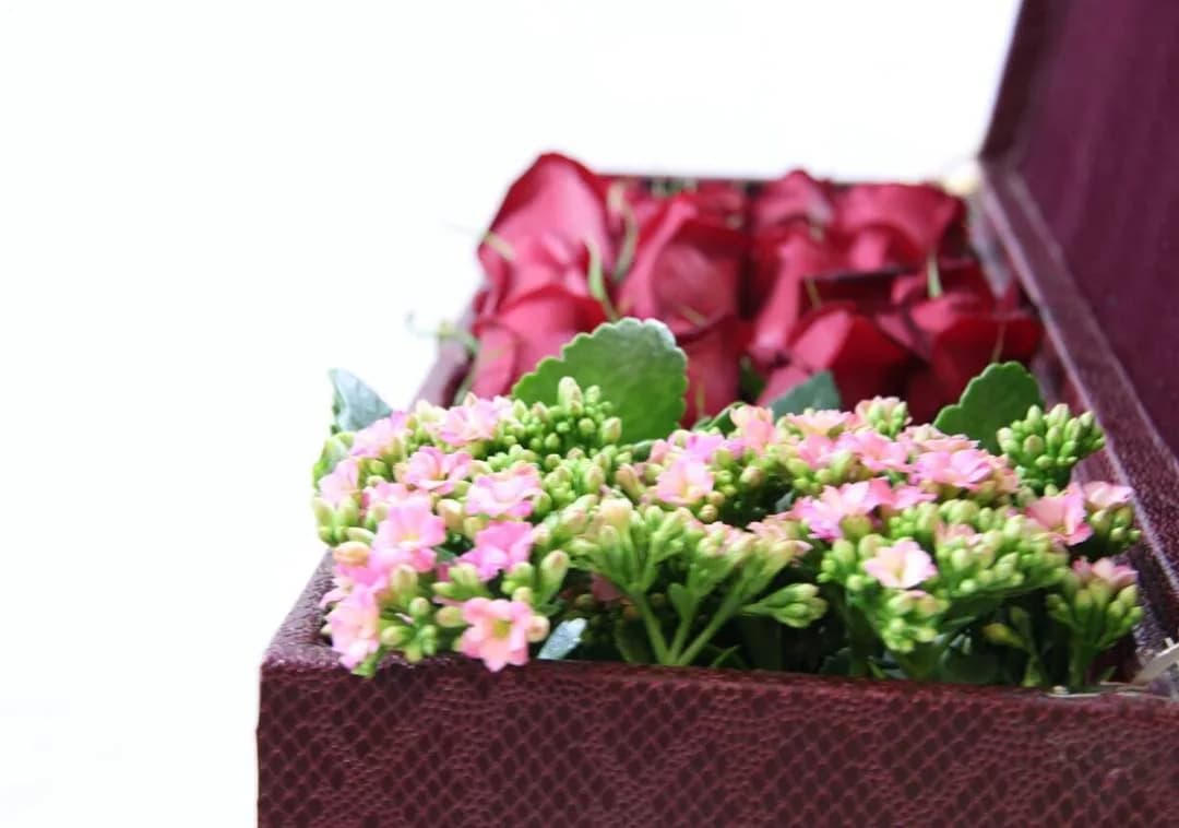 باکس گل رز، رنگ قرمز، صورتی و سبز، جنس چوب و گل طبیعی، جعبه مستطیلی