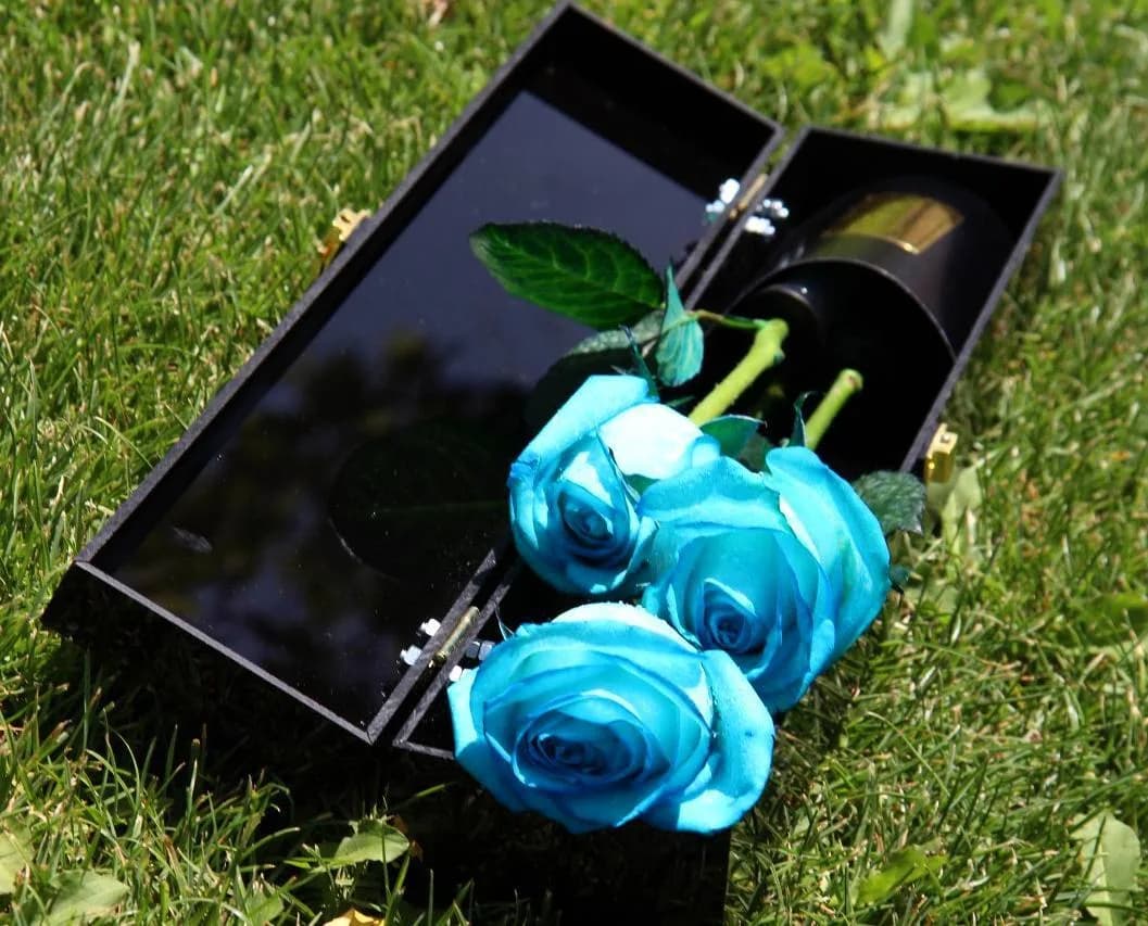 باکس گل رز، رنگ آبی، سبز و مشکی، باکس گل مستطیلی