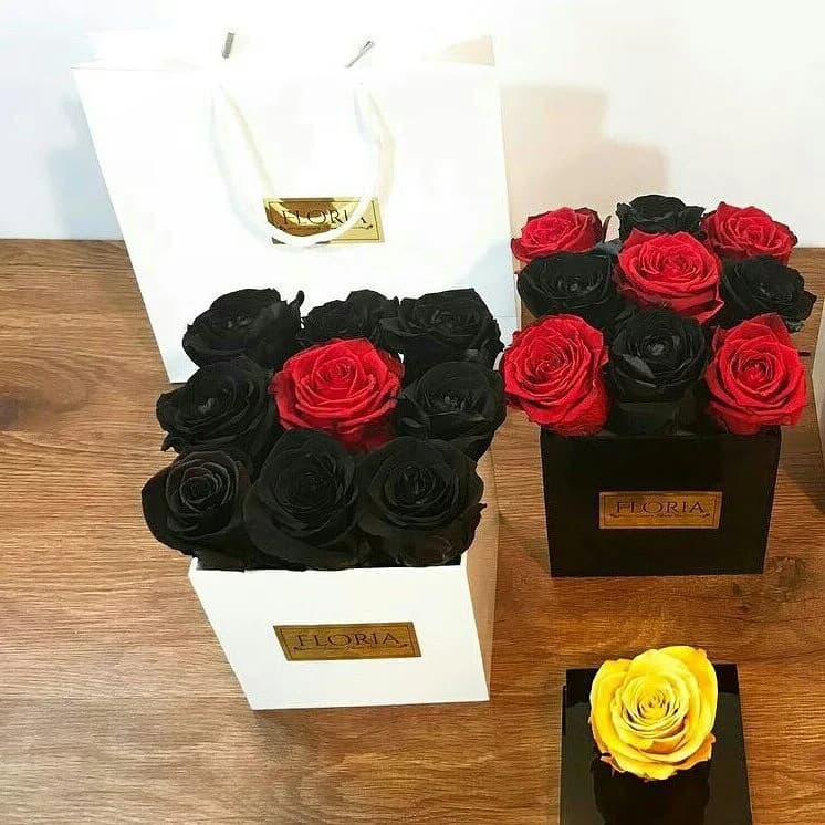باکس رز جاودان مشکی با قرمز فلوریا
