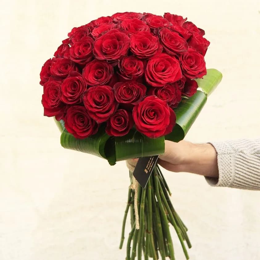 دسته گل رز، رنگ قرمز و سبز، گرد
