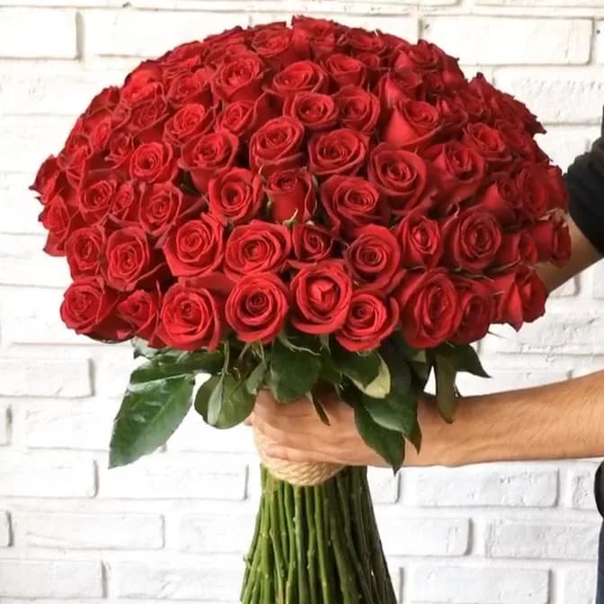 دسته گل ۱۰۰ شاخه رز هلندی، رنگ قرمز، مدل گرد
