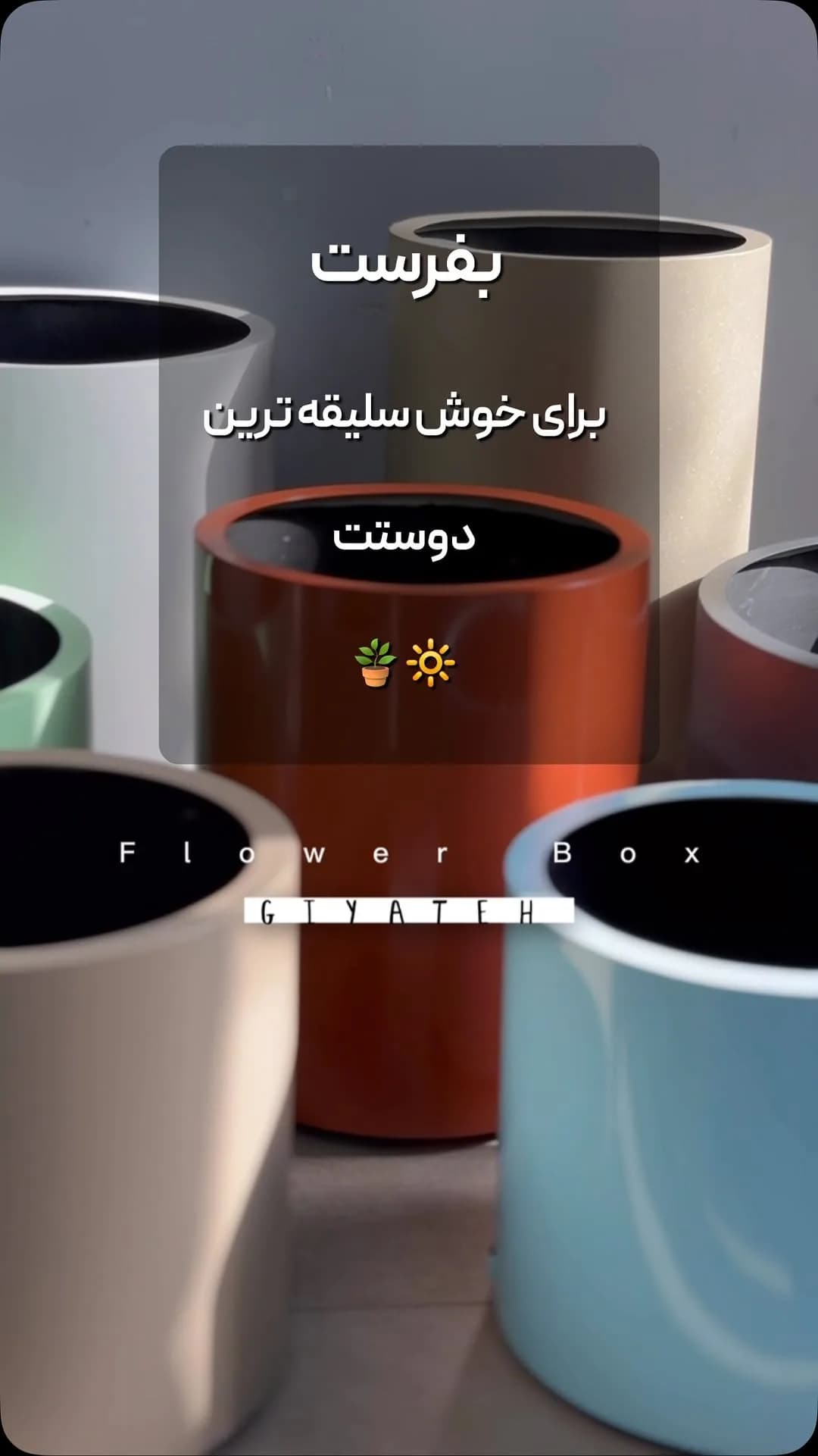 گلدان رنگی فلاور باکس