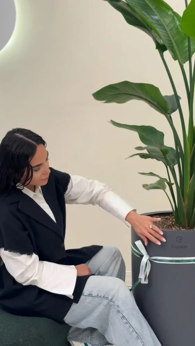 نیکولای دوبوته