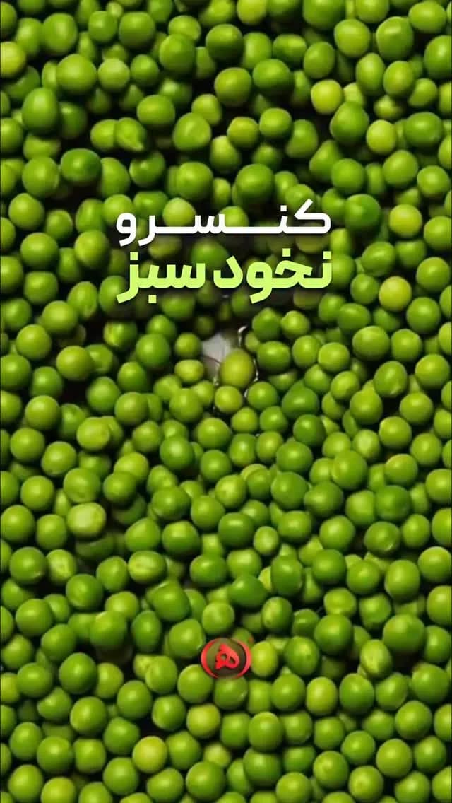 کنسرو نخود سبز هانی