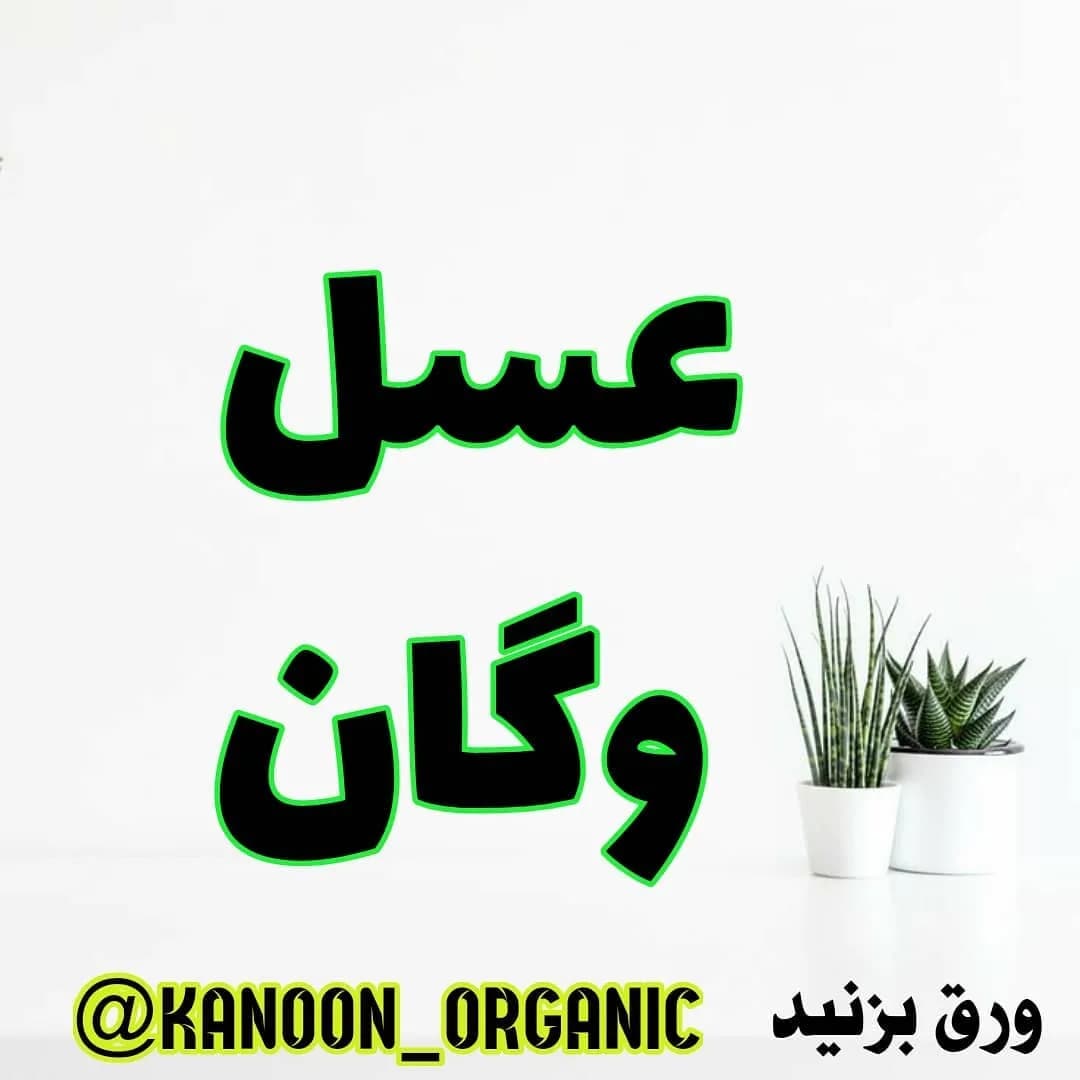 عسل وگان شیره برنج ۴۲۰ گرم