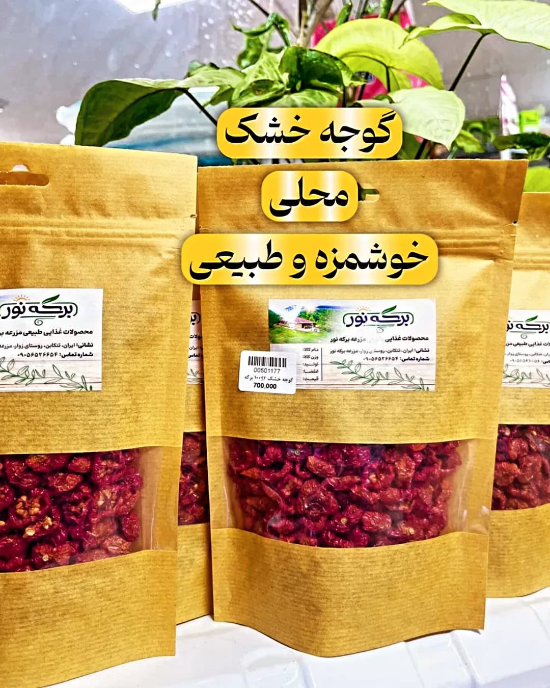 گوجه خشک محلی برکه نور