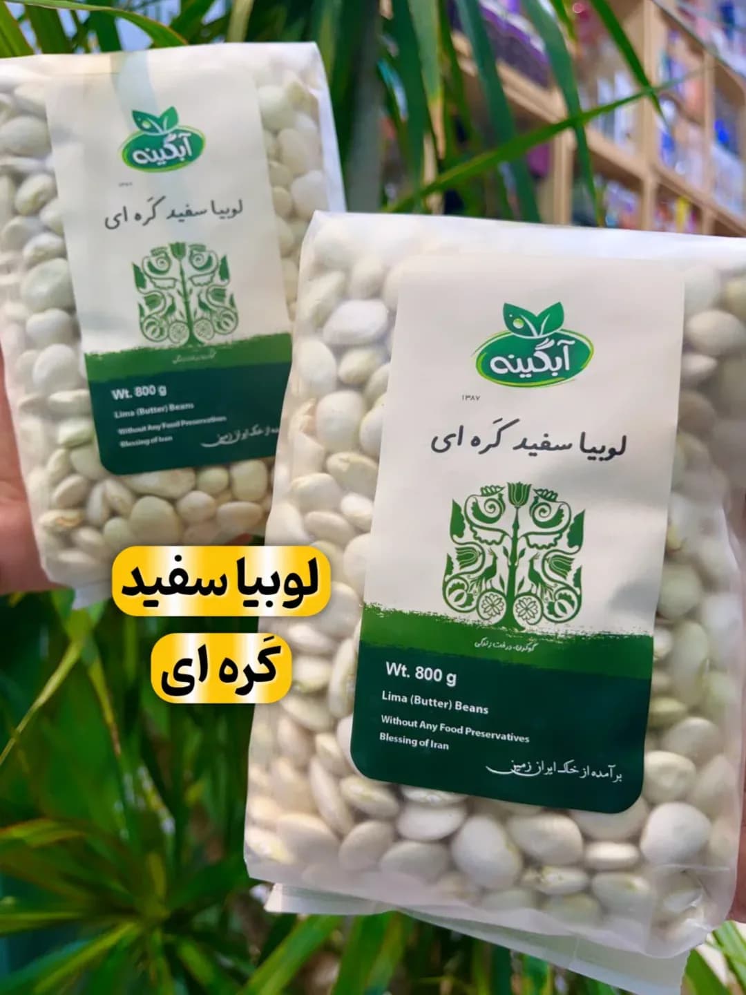 لوبیا سفید کرهای ۸۰۰ گرمی آبگینه، رنگ سبز، جنس پلاستیک، بسته