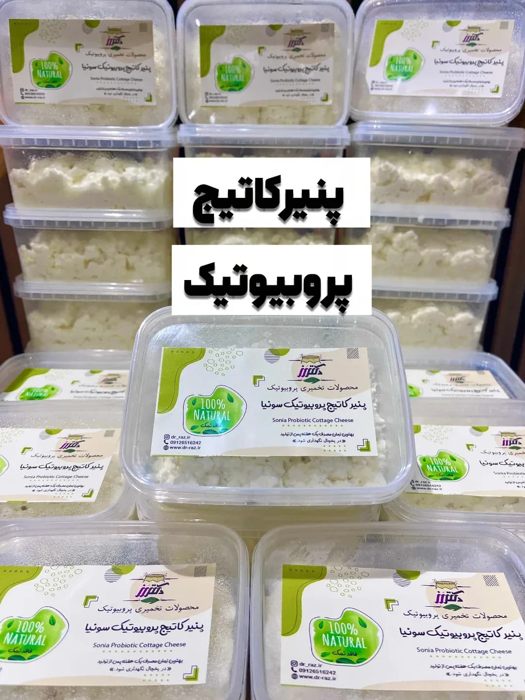 پنیر کاتیج پروبیوتیک