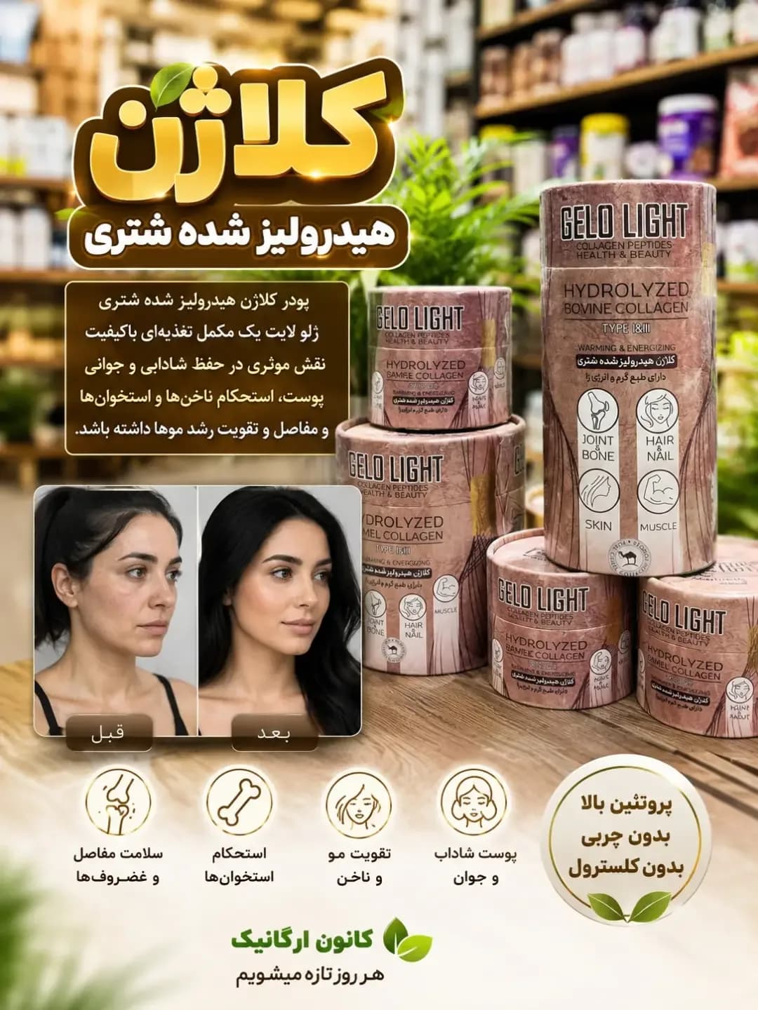 کلاژن هیدرولیزشده شتری ژلو لایت