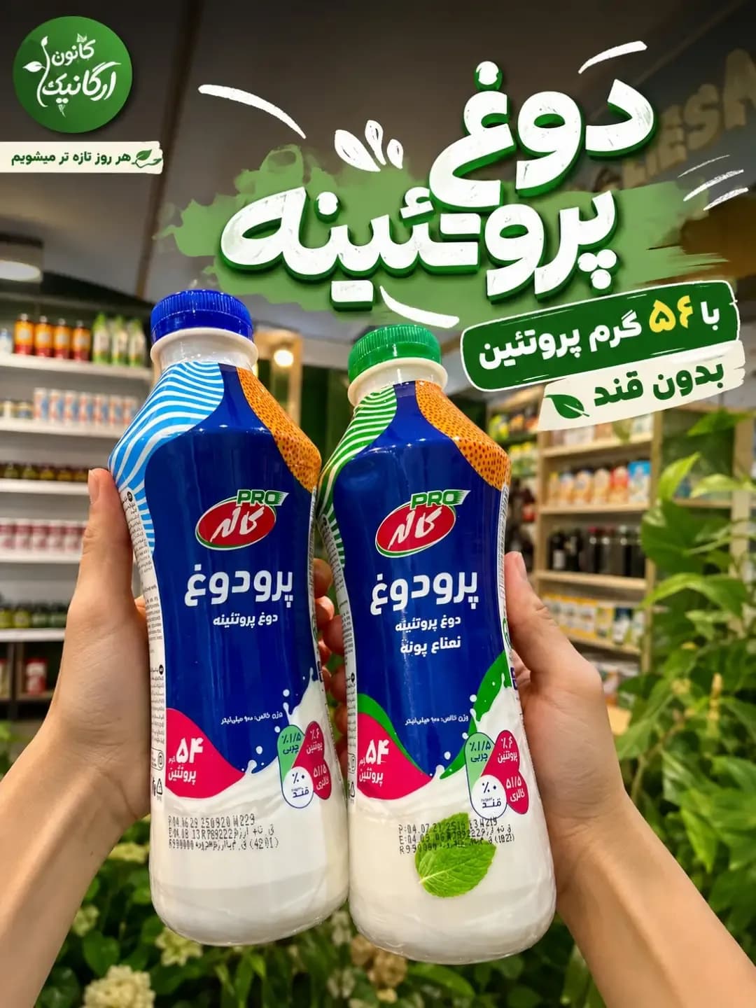 دوغ پروتئینه پرو دوغ کاله، رنگ آبی، سفید و سبز، جنس پلاستیک، بطری