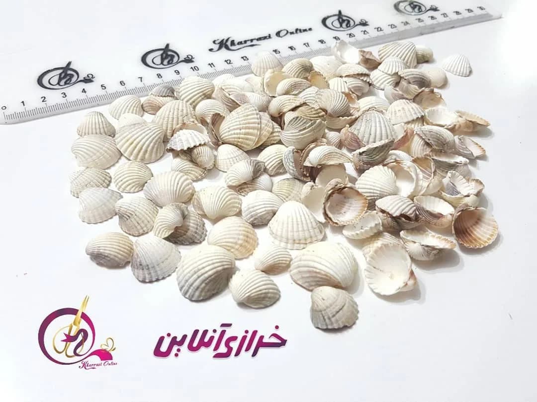پک صدف ۵۰ گرمی