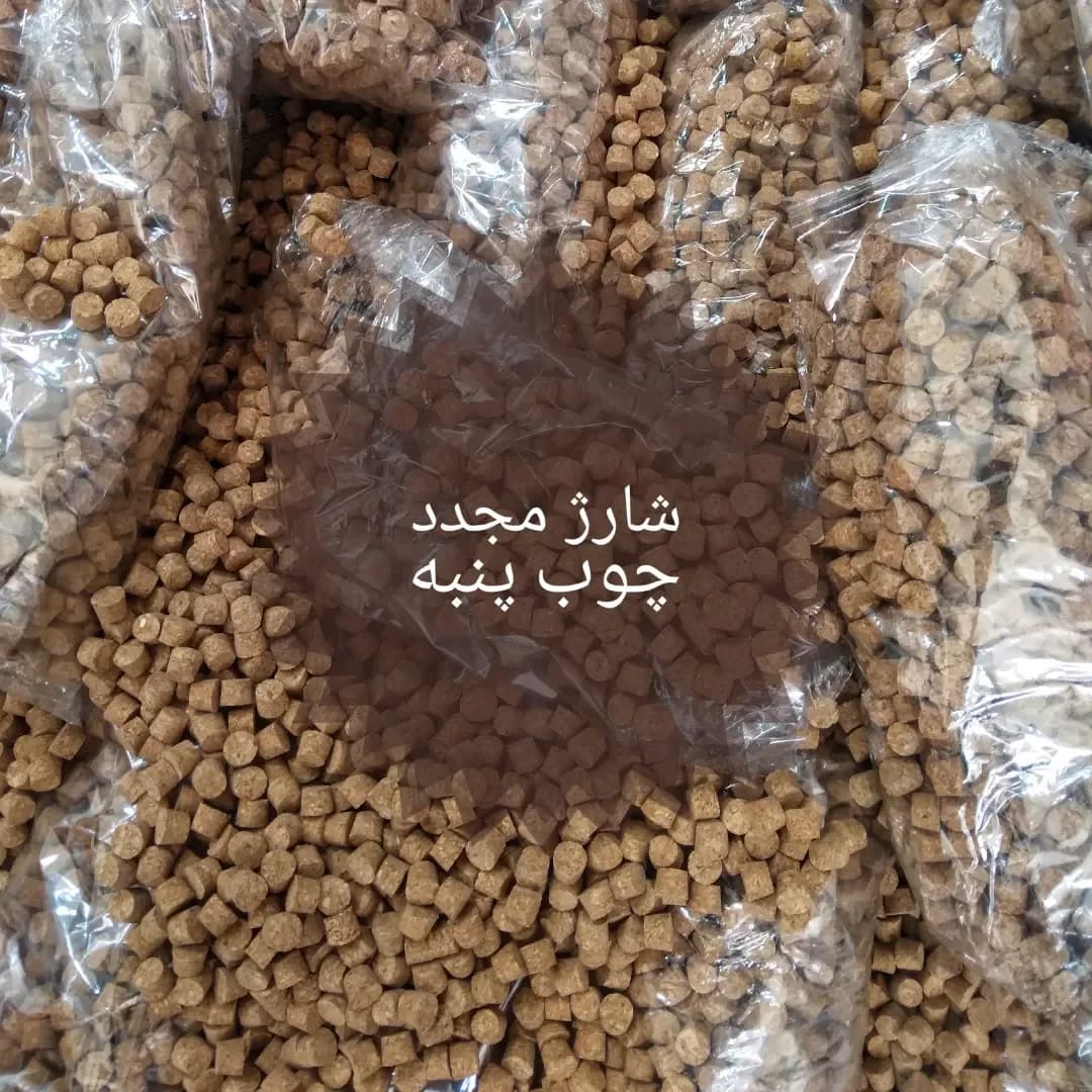 چوب پنبه