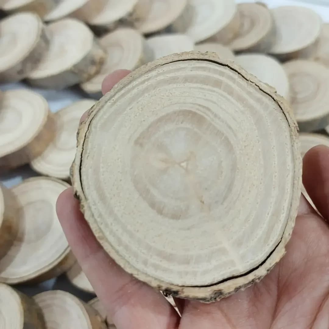 اسلایس چوب ون ۶ تا ۷ سانت — رنگ کرم — نمای دردست — حدود ۴ تا ۶ سانت