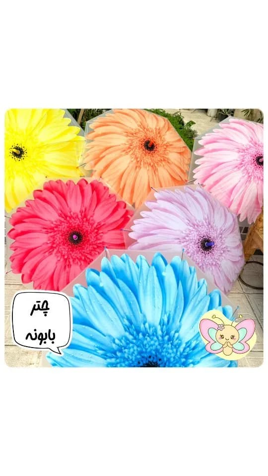 چتر طرح بابونه