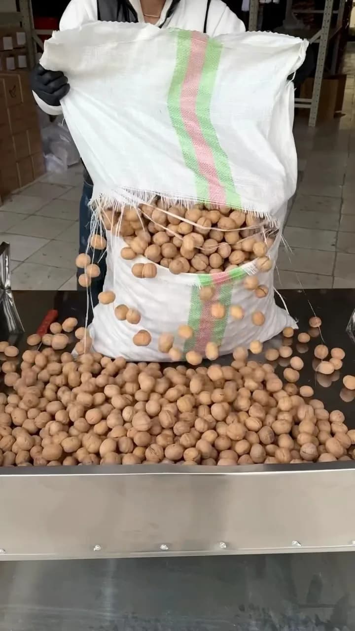 گردو پوست کاغذی درشت