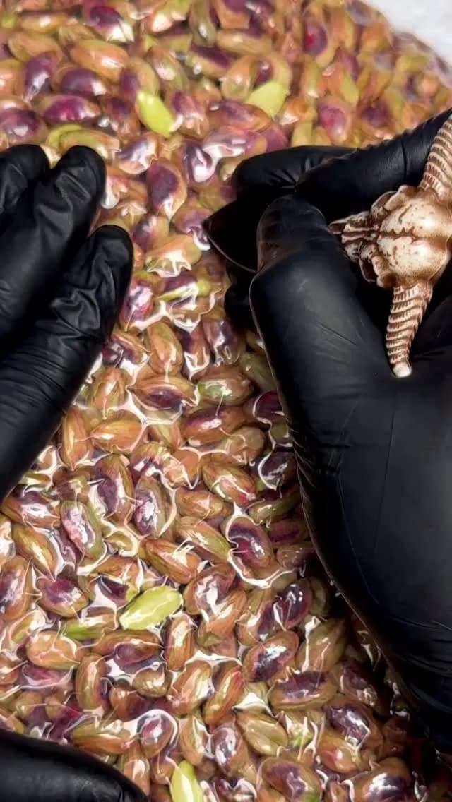 مغز پسته درشت