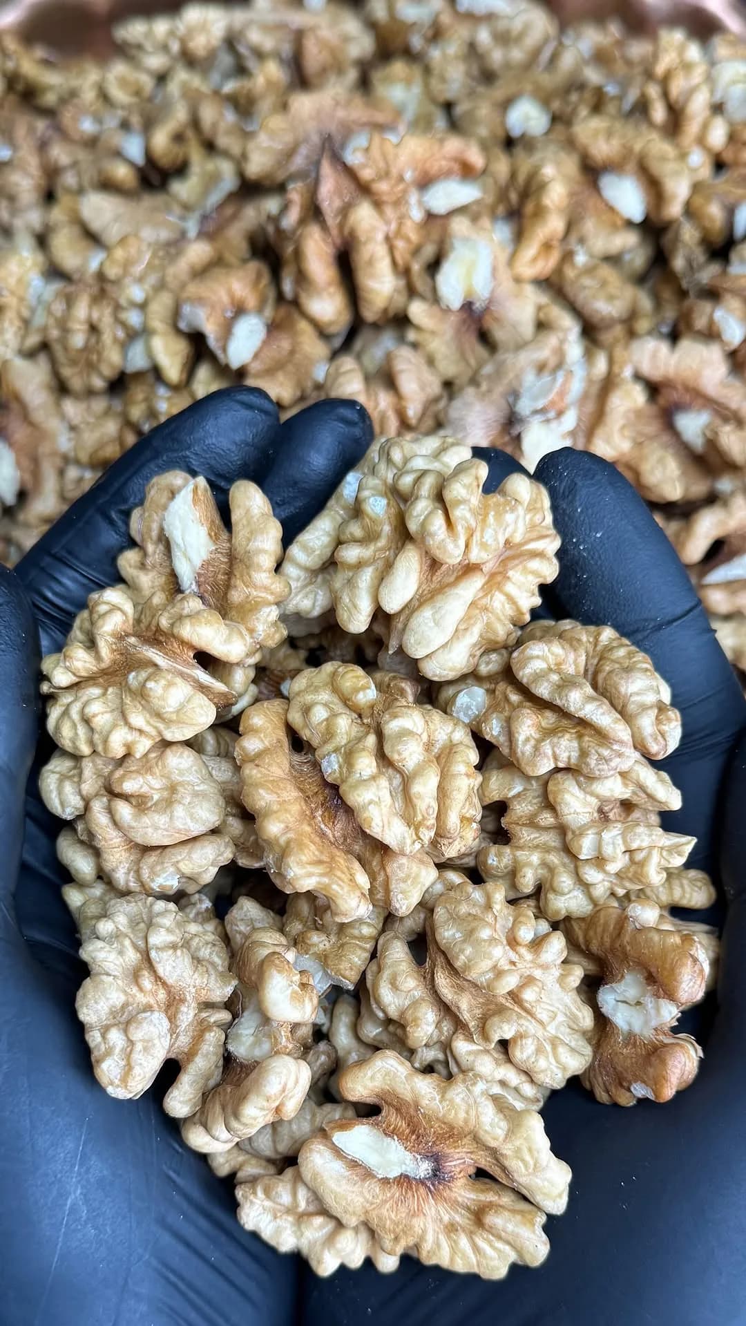 مغز گردو، رنگ کرم و قهوهای روشن
